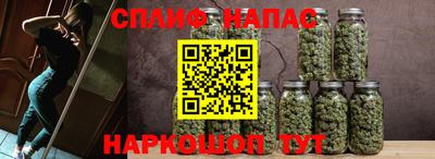 молекула духа Камень-на-Оби
