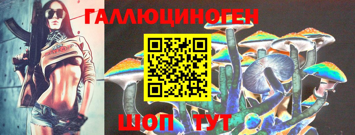 Унеча  Галлюциногенные грибы прущие грибы  Вход с VPN  Псилоцибиновые грибы ЛСД 