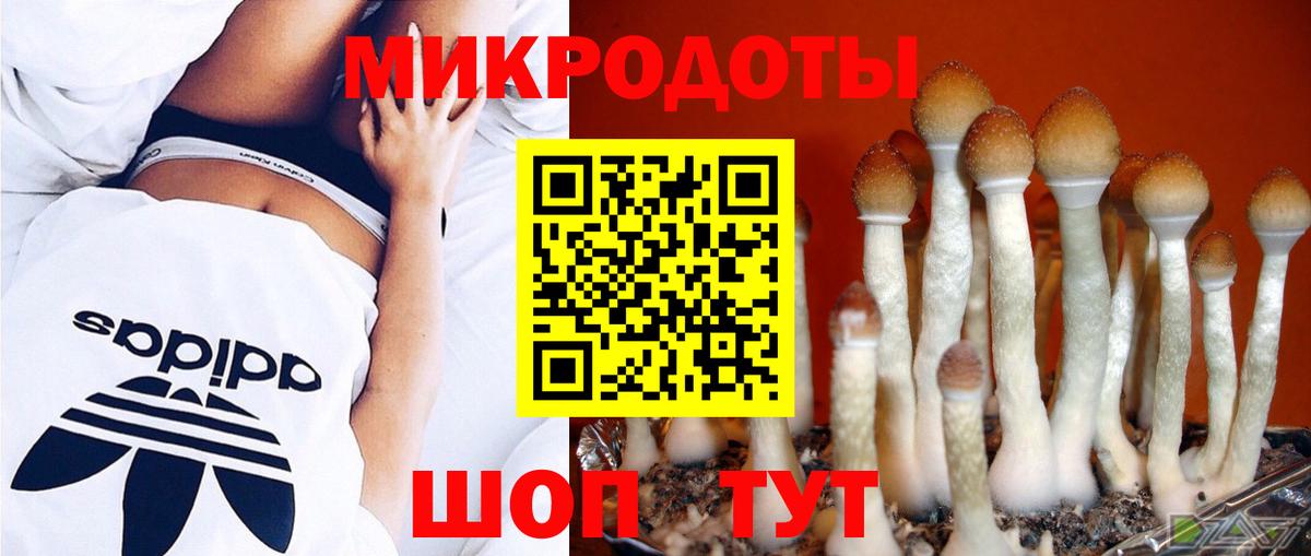 Галлюциногенные грибы мухоморы Унеча