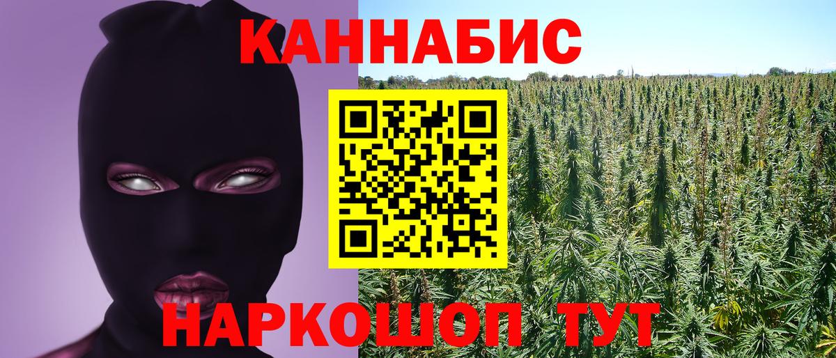 МАРИХУАНА сатива Унеча